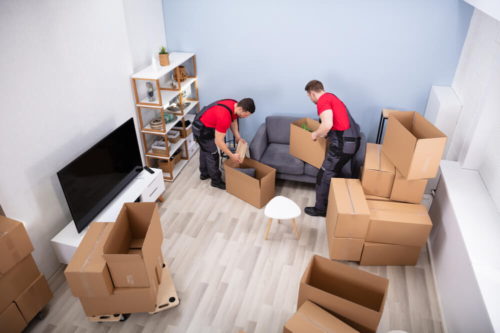 Local Movers Washington DC Area